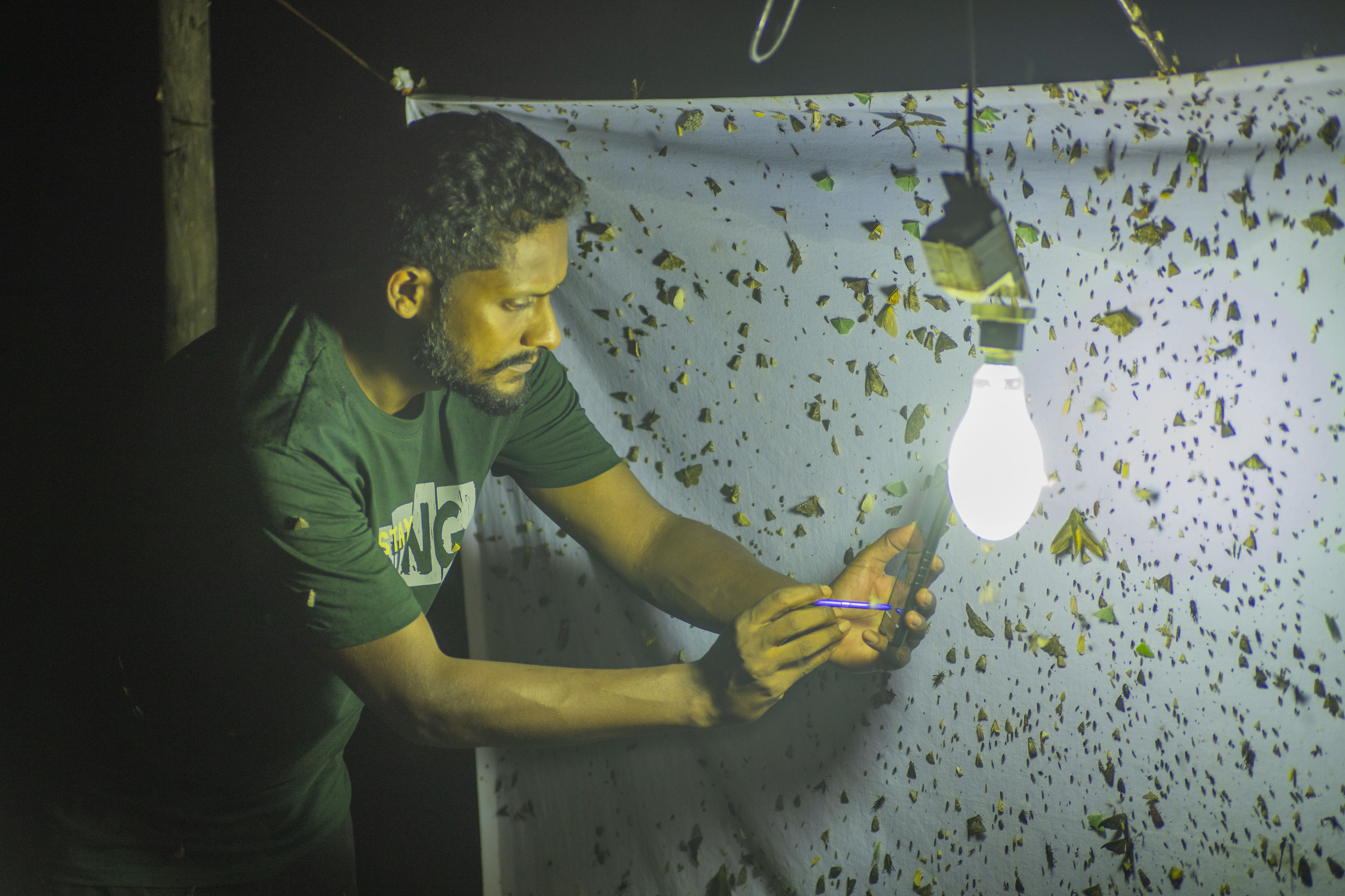 Light Trap