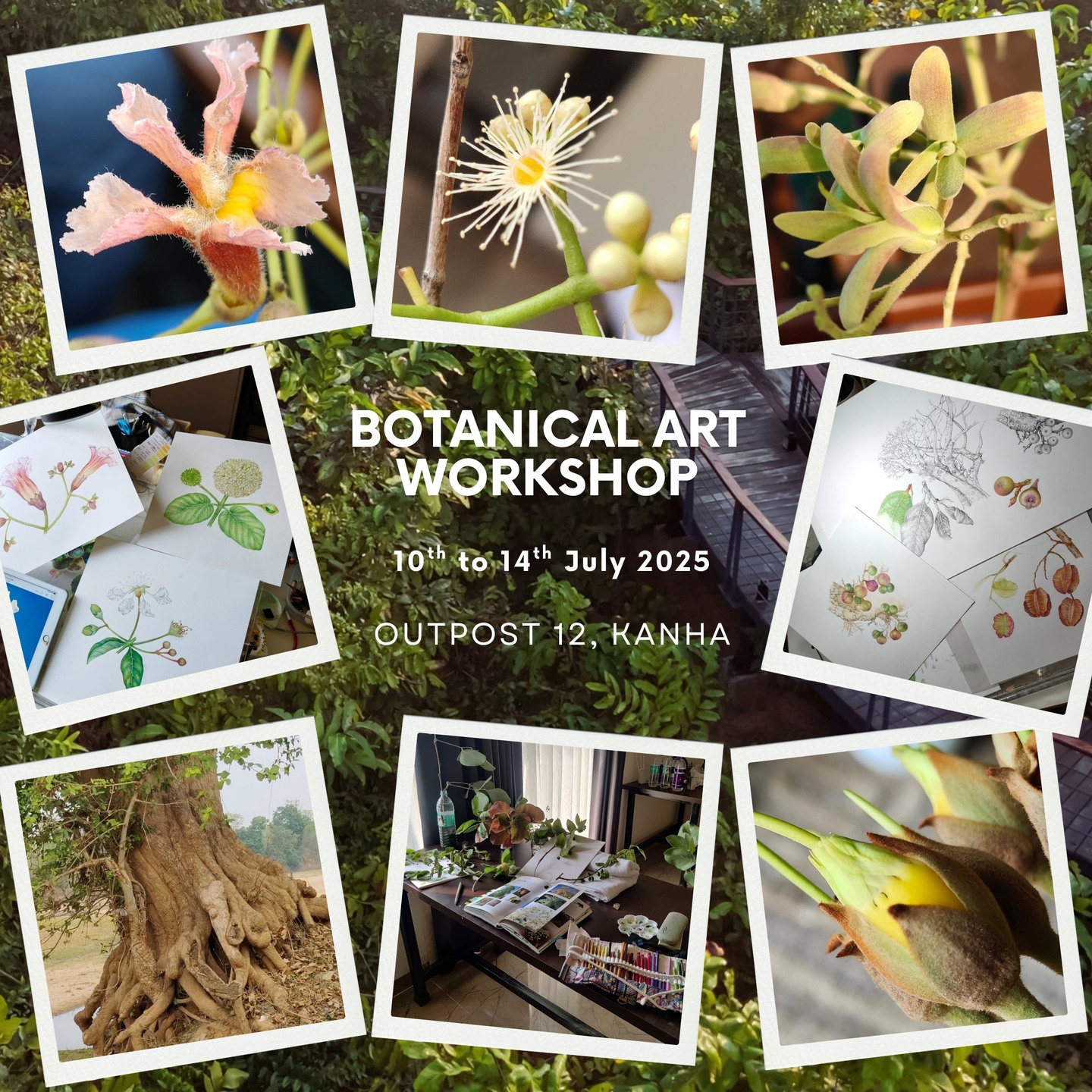 Botanical Art Workshop 2025 image