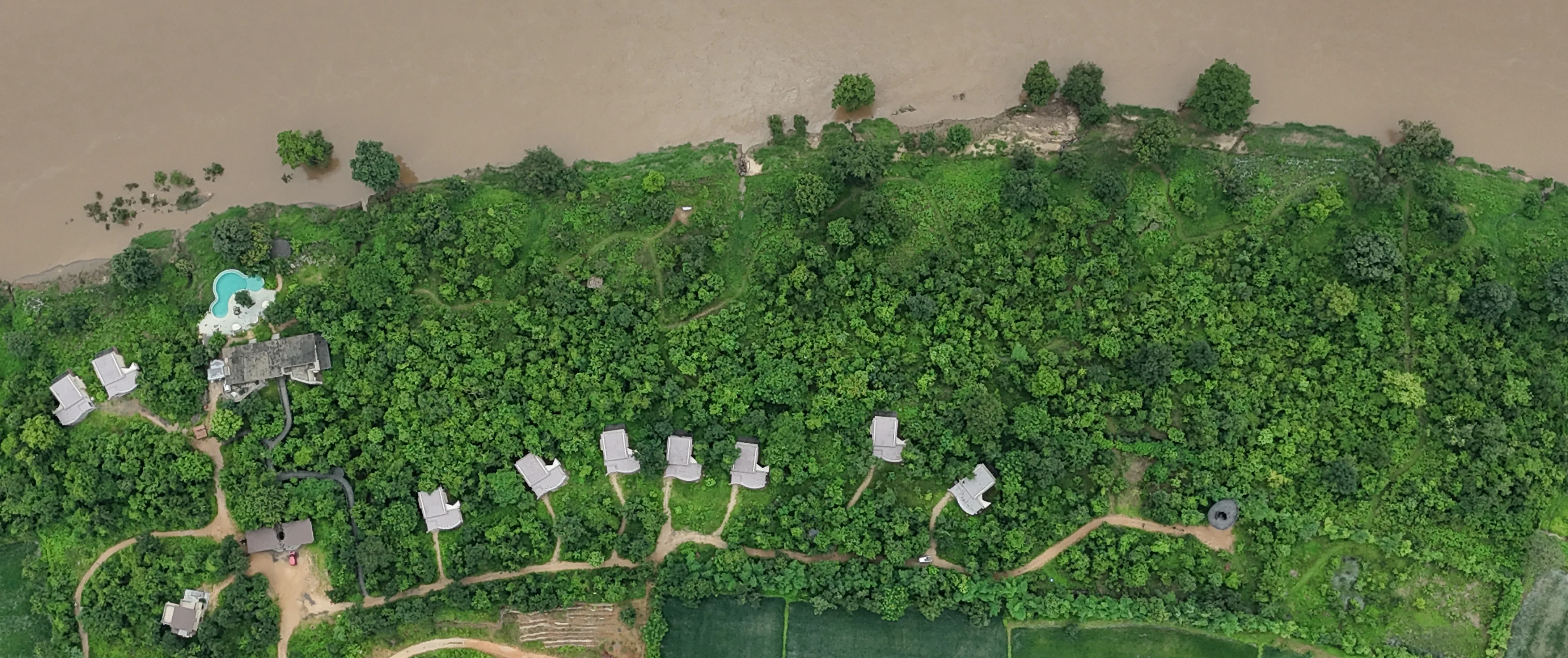 Where the Forest Comes First image